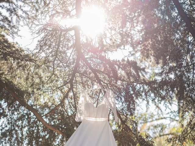 Le mariage de Micka et Clémentine à Denicé, Rhône 6