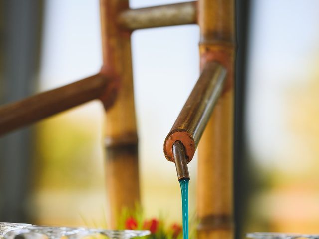 Le mariage de Bruno et Elodie à Toulouse, Haute-Garonne 22