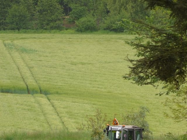 Le mariage de Lydie et Fred à Liéoux, Haute-Garonne 6