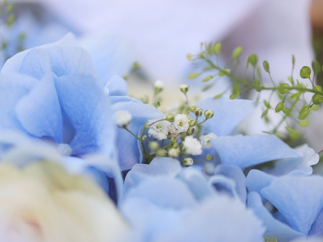 Le mariage de Micka et Alice à Vaugrigneuse, Essonne 9