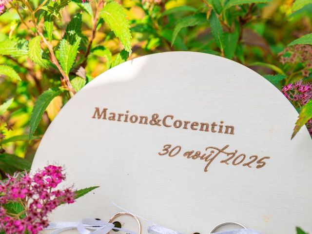 Le mariage de Corentin et Marion à Thorens-Glières, Haute-Savoie 26