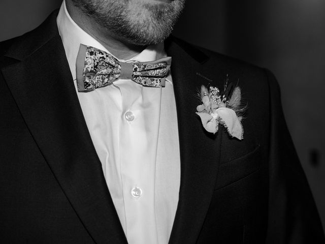 Le mariage de Alex et Audrey à Cusset, Allier 10