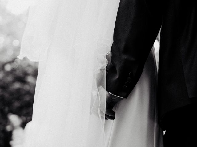 Le mariage de Philippe et Véronique à Arceau, Côte d'Or 55