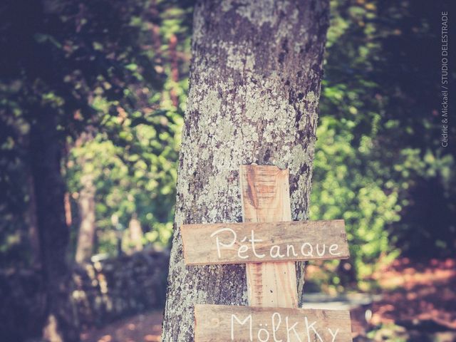 Le mariage de Nicolas et Chloé à Les Ollières-sur-Eyrieux, Ardèche 4