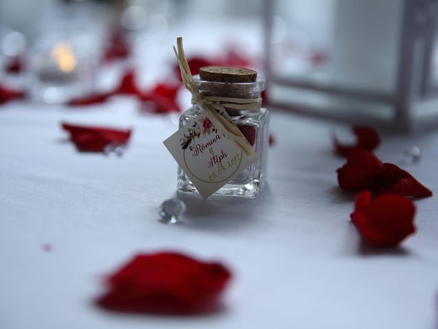 Le mariage de Stéphane et Romina à La Tour-de-Salvagny, Rhône 8