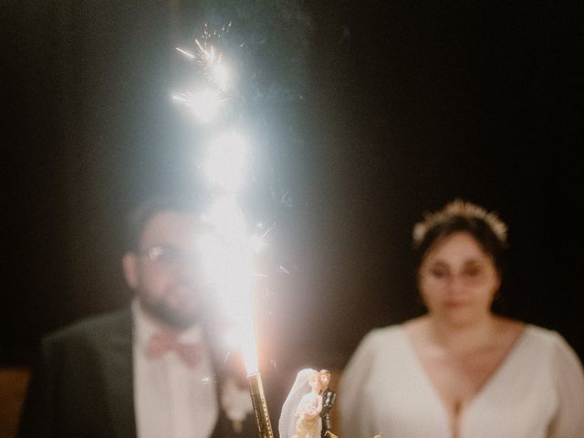 Le mariage de Damien et Elodie à Bourg-de-Thizy, Rhône 205