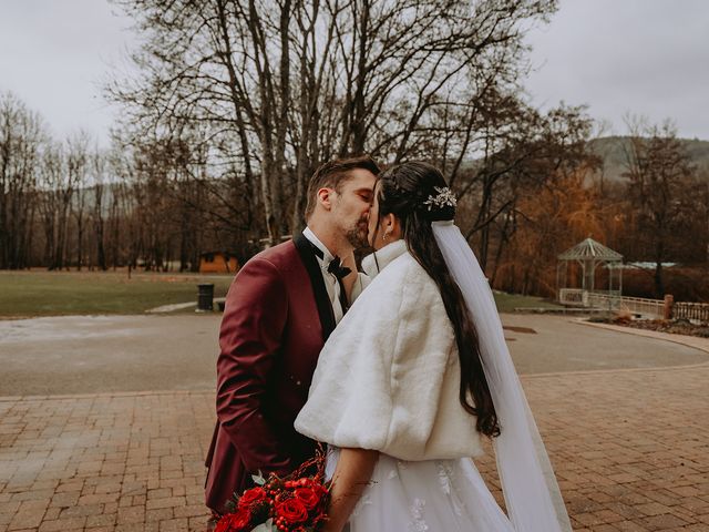Le mariage de Erwann et Angélique à Wisches, Bas Rhin 31