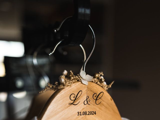 Le mariage de christophe et Louise à Musièges, Haute-Savoie 10
