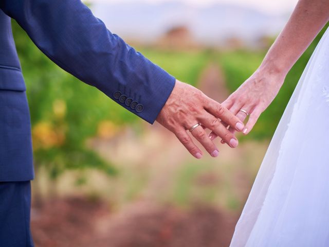 Le mariage de Michel et Anne-Laure à Roquebrune-sur Argens, Var 2