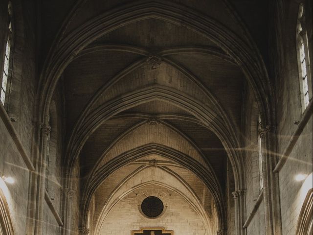 Le mariage de Kevin et Elina à Villeneuve-les-Avignon, Gard 33