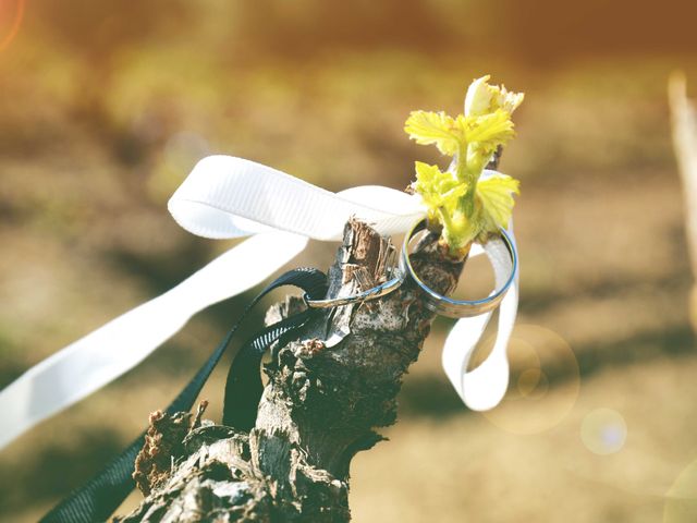 Le mariage de Sébastien et Maela à Bélesta, Pyrénées-Orientales 4