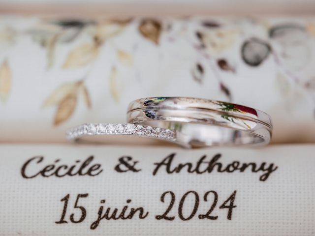 Le mariage de Anthony et Cécile à Avril, Meurthe-et-Moselle 20