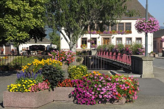 Le mariage de Géraldine et Pierrick à Ostheim, Haut Rhin 39