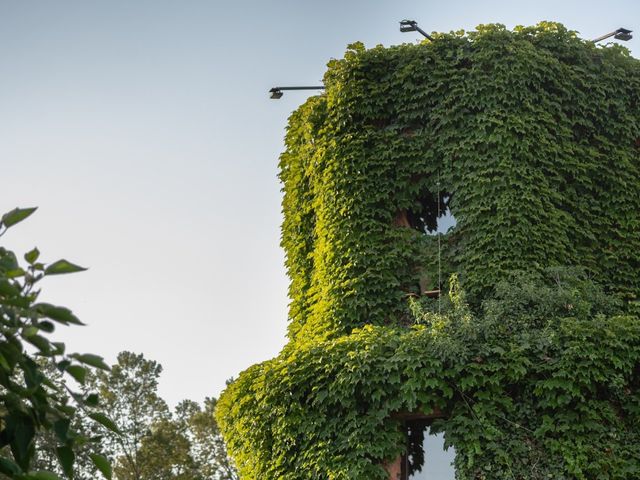 Le mariage de Sébastien  et Maeva à Trets, Bouches-du-Rhône 16