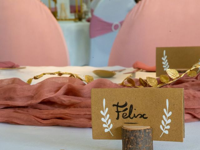 Le mariage de Félix et Elodie à Irai, Orne 82