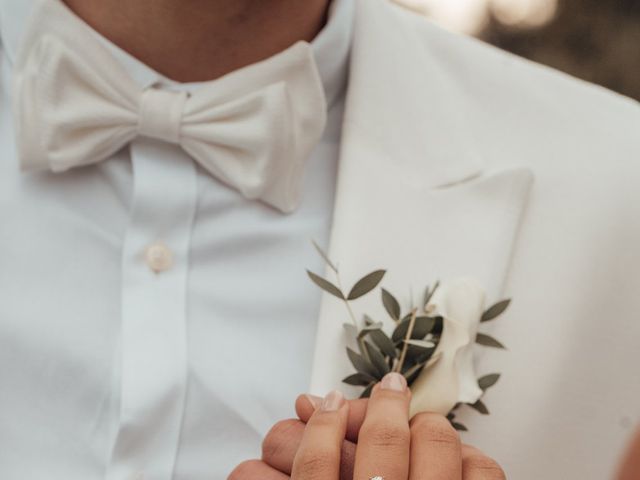 Le mariage de Mickael et Cidji à Lésigny, Seine-et-Marne 31