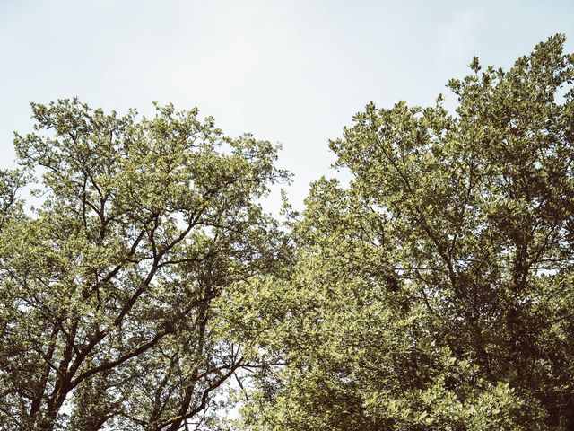 Le mariage de Kévin et Gwladys à Négrondes, Dordogne 35