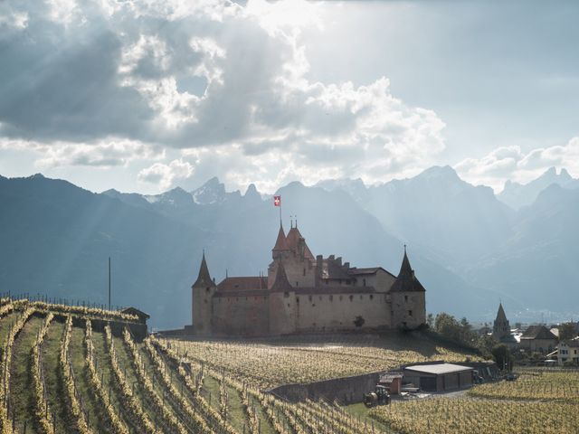 Le mariage de Aniket et Nama à Montreux, Vaud 51