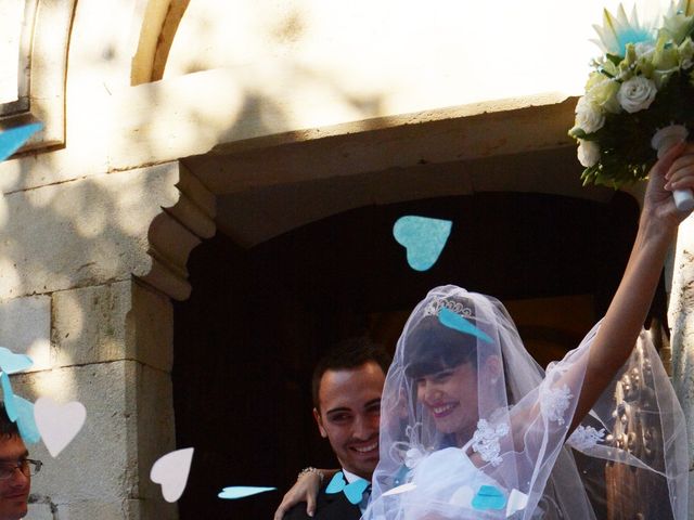 Le mariage de Guew et Caro à Caissargues, Gard 7