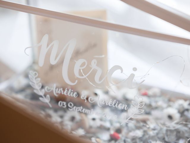 Le mariage de Aurélien et Aurélie à Tigeaux, Seine-et-Marne 2