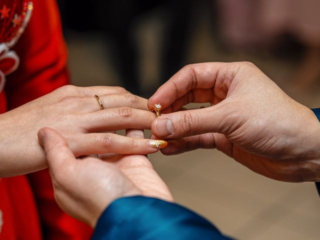 Le mariage de Wailly et Tramy à Boissise-la-Bertrand, Seine-et-Marne 9