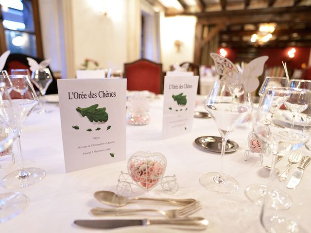 Le mariage de Christopher et Agathe à Orléans, Loiret 11