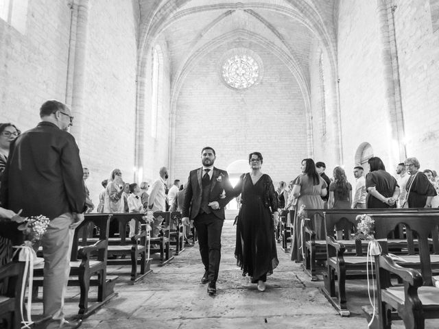 Le mariage de Thomas et Diane à Loupian, Hérault 41