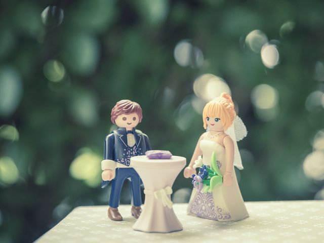 Le mariage de Nicolas et Raluca à Arras, Pas-de-Calais 17