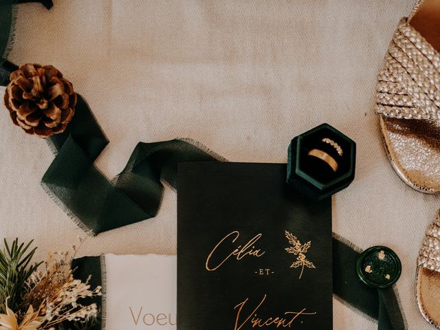 Le mariage de Vincent et Celia à Lambesc, Bouches-du-Rhône 1