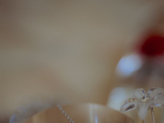Le mariage de Aurélien et Anne-Marie à Gevigney-et-Mercey, Haute-Saône 22