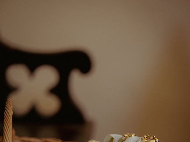 Le mariage de Aurélien et Anne-Marie à Gevigney-et-Mercey, Haute-Saône 29