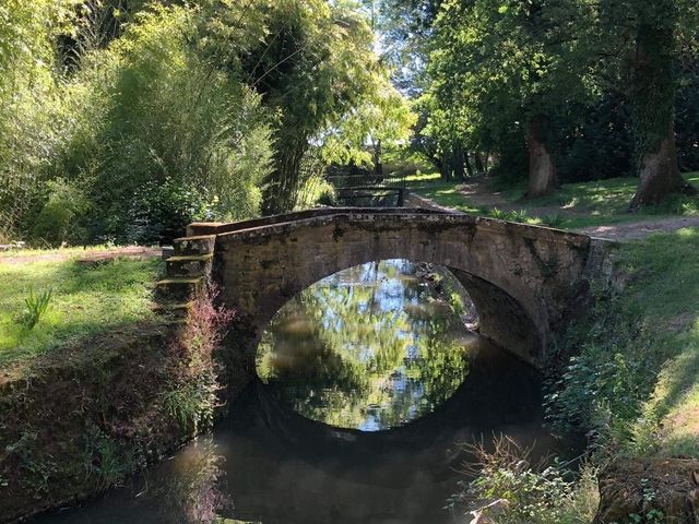 Le mariage de Jean-Raphaël et Coralie à Saint-Ambreuil, Saône et Loire 18