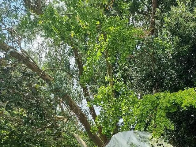 Le mariage de Jordy  et Charlène à Segré-en-Anjou Bleu, Maine et Loire 3