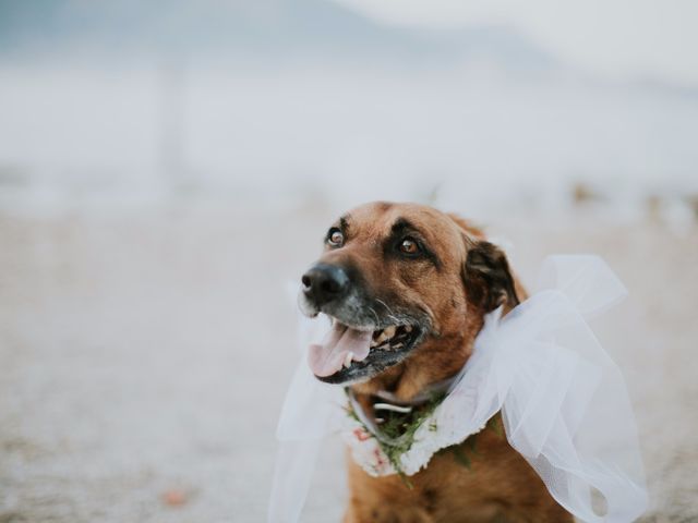 Le mariage de Julien et Pascale à La Seyne-sur-Mer, Var 15