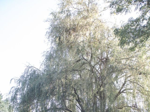 Le mariage de Benjamin et Mélanie à Maisse, Essonne 31