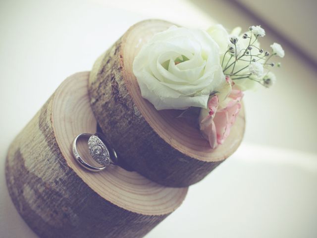 Le mariage de Yoann et Marion à Beaulieu-sur-Loire, Loiret 19