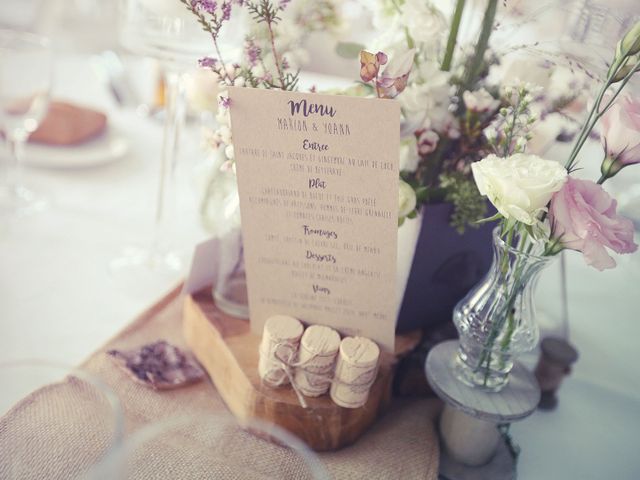 Le mariage de Yoann et Marion à Beaulieu-sur-Loire, Loiret 72