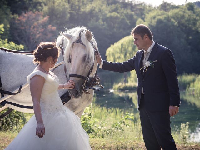 Le mariage de Mathieu et Sandrine à La Farlède, Var 77