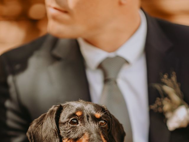 Le mariage de François et Estelle à Ribeauvillé, Haut Rhin 40