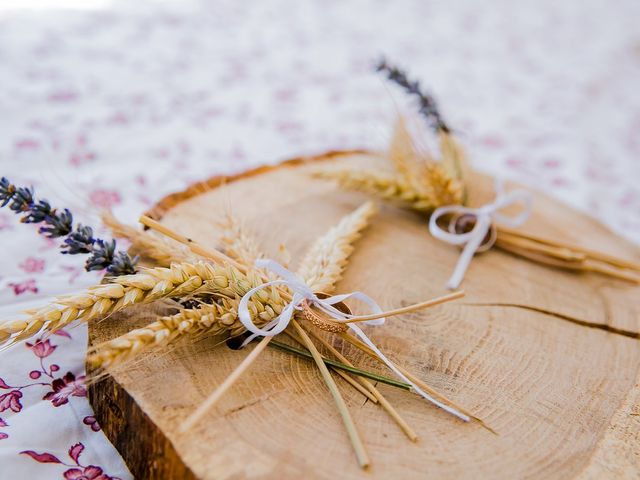 Le mariage de David et Stéphanie à Villaudric, Haute-Garonne 6