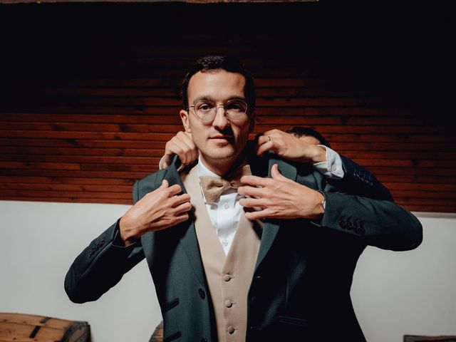 Le mariage de Laurent et Delphine à Les Andelys, Eure 18