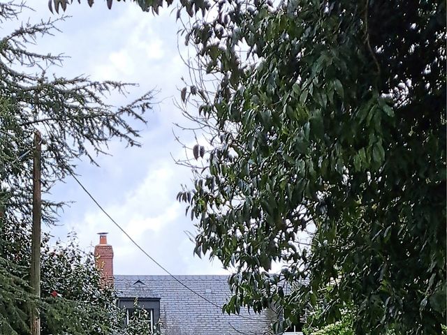 Le mariage de Gueroult  et Corinne  à Auzouville-l'Esneval, Seine-Maritime 10