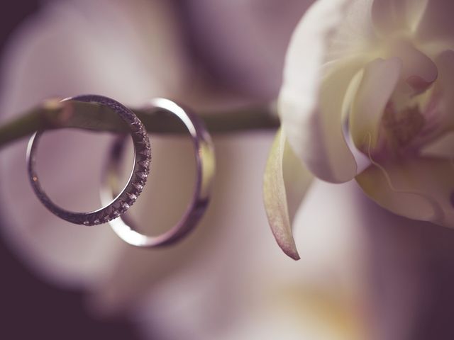 Le mariage de Romain et Sarah à Vaison-la-Romaine, Vaucluse 7