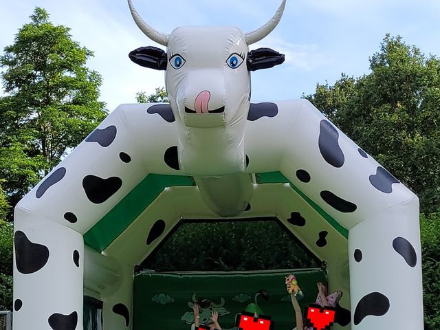 Le mariage de Nicolas  et Karen  à Champgenéteux, Mayenne 10