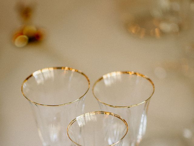 Le mariage de Stéphane et Laurentine à Chambéry, Savoie 11