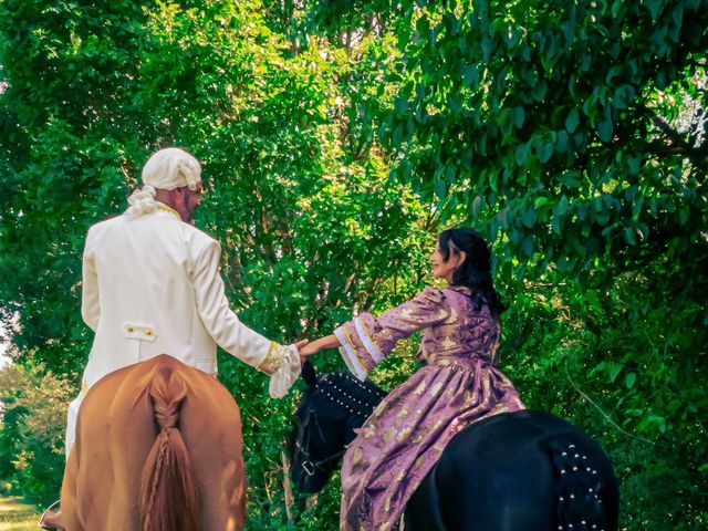 Le mariage de Sébastien et Cécile à Cheverny, Loir-et-Cher 11