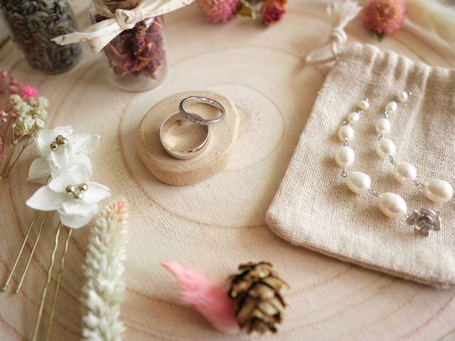 Le mariage de Job et Marine à Duingt, Haute-Savoie 11