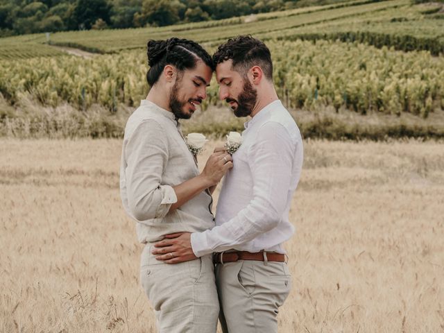 Le mariage de Gabriel et Aurélien à Reims, Marne 17