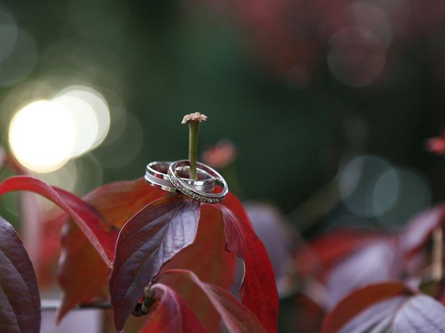 Le mariage de David et Marie-France à Thann, Haut Rhin 17