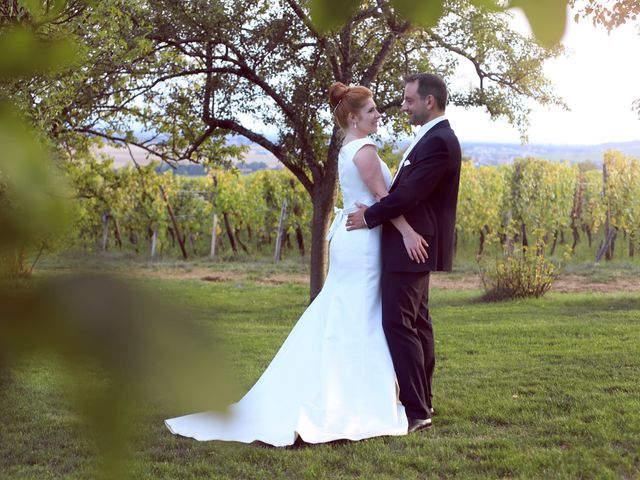 Le mariage de David et Marie-France à Thann, Haut Rhin 24